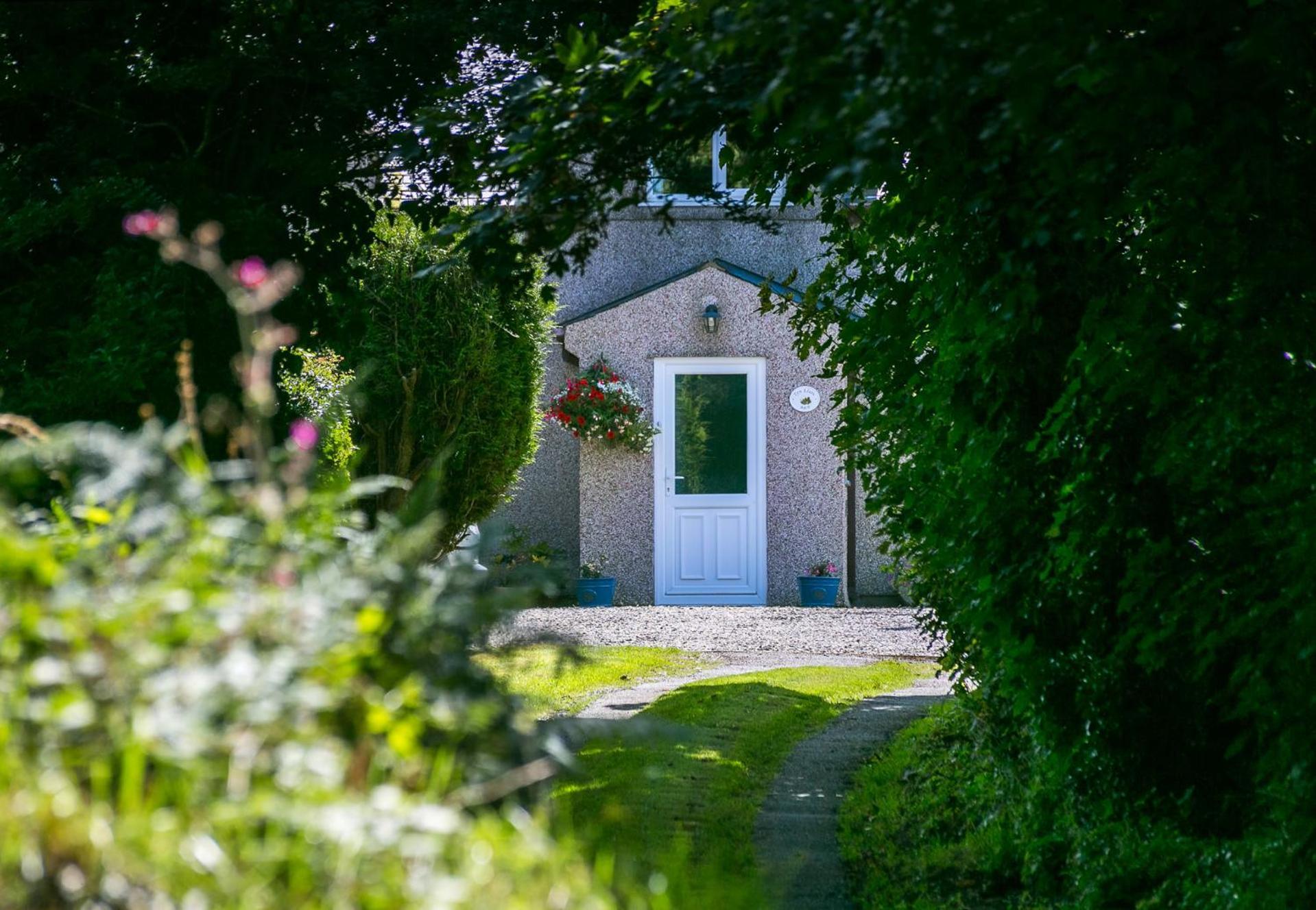 Tyn Llain B&B Llanfflewyn Exterior photo